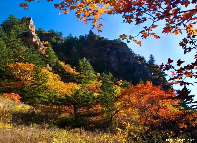 【京承皇家御道】沿途秋景-五道沟风景区