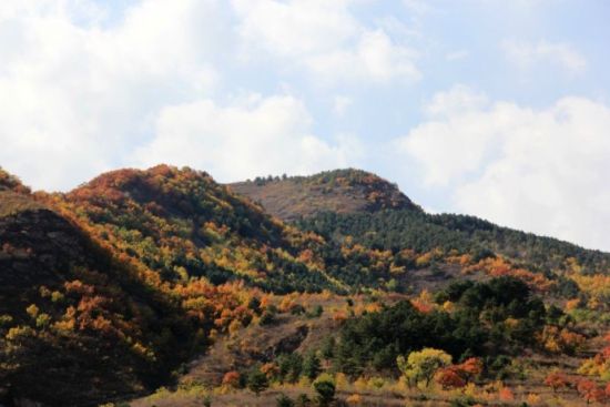 浓妆重抹 色彩斑斓的承德之秋