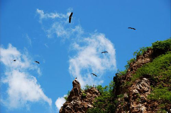 春季承德之千鹤山
