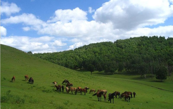 秋季承德之塞罕坝