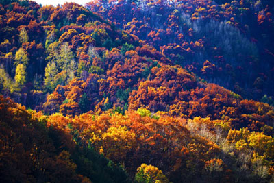 秋季的承德---秋色迷人