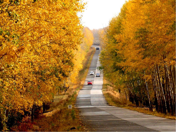 秋季的承德之秋韵