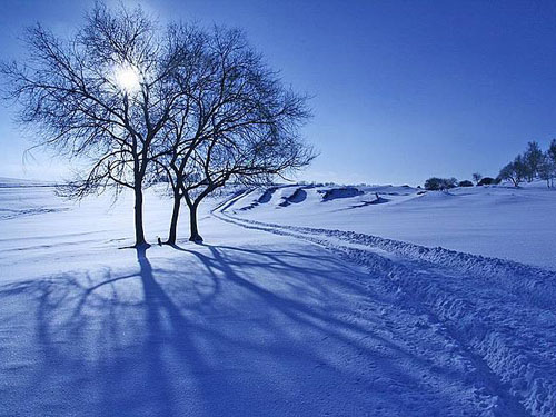 冬季承德之塞罕坝雪场