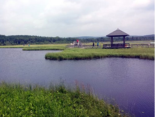 夏季来承德围场坝上草原 游河北来了就不想走的地方