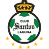 桑托斯拉古纳